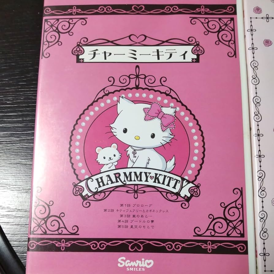 レア‪‪❤︎‬ チャーミーキティ DVDプレーヤー 説明書付き レア‪‪❤︎‬ チャーミーキティ DVDプレーヤー 説明書付き Amazon‬